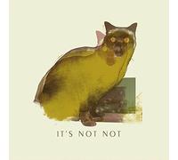 It'S Not Not - Bound for the Shine