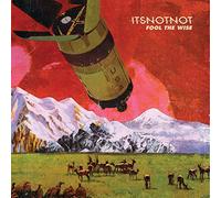 It'S Not Not - Fool the Wise (+Download)