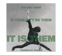 It's Not Them It Couldn't Be Them It Is Them! - Cd Album