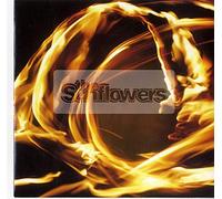 It's Only Everything/Too Far to Fall [Import]