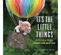 Its the Little Things by Richard Austin Unknown (Auteur)