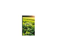 It's Time To Eat Watercress Paperback Book By Walter The Educator