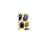 It's Time To Learn About Beetles Paperback Book By Walter The Educator
