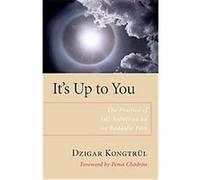 It's Up to You Dzigar Kongtrul (Auteur)