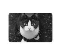 IUBBKI Paillasson de 40 x 60 cm, motif chat noir et blanc, tapis de sol créatif pour bureau, couloir, entrée