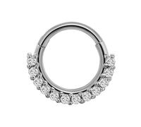 Iuhtrb Anneaux de nez simples en cristal pour septum Clickers en acier inoxydable - Accessoire de piercing pour cartilage d'oreille - Bijou de corps élégant - Pour un usage quotidien