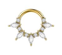 Iuhtrb Anneaux de nez simples en cristal pour septum Clickers en acier inoxydable - Accessoire de piercing pour cartilage d'oreille - Bijou de corps élégant - Pour un usage quotidien