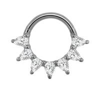 Iuhtrb Anneaux de nez simples en cristal pour septum Clickers en acier inoxydable - Accessoire de piercing pour cartilage d'oreille - Bijou de corps élégant - Pour un usage quotidien