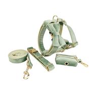 IUOUTG 5 pcs Collier de Chien et Harnais Ensemble avec Arc pour Chiens de Taille Moyenne Grande Boucle en métal réglable Fille Verte Animaux de Compagnie