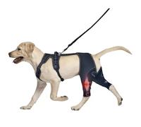 IUOUTG Attelle pour Genou De Chien pour DéChirure du Lca, Manchon De Compression pour La Patte ArrièRe De Chien, Ensemble De Harnais Enveloppant pour Soin des Blessures