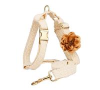 IUOUTG Beige Chien Pas dans Le Harnais De Gilet, Harnais De Dentelle Et Ensemble De Laisse pour Les Grands Chiens, Gilet Brodé Réglable pour Animaux De Compagnie avec Fleur pour La Tenue De Mariage