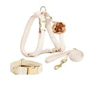 IUOUTG Beige Dog Harnais Et Leash Set Collier Réglable en Dentelle pour Animaux De Compagnie avec des Fleurs Et Une Boucle À Libération Rapide sans Sangle De Traction pour Chien Féminin