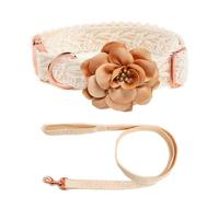 IUOUTG Col De Chien en Dentelle Beige Et Ensemble De Laisse, Colliers De Chien Brodé Fille avec Fleur, Mode Jolie Tenue d'anniversaire De Mariage Réglable pour Les Grands Chiens