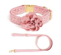 IUOUTG Col De Chien Floral Et Ensemble De Laisse, Col De Chien en Dentelle Rose avec Boucle en Métal pour Les Chiens Moyens Et Grands, Designer Brodé Colliers De Chiot Fille pour La Fête De Mariage