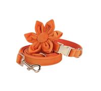 IUOUTG Colliers de Chien Mignons avec nœud Papillon à Fleurs Amovibles Colliers de Chien Orange pour Chiens de Fille Collier de Chien Doux pour Les Petites, Moyennes et Grandes chiennes Femelles