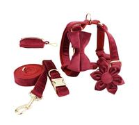 IUOUTG Elegant Chog Harness Lash Set Pet Coll Colliers pour Chiens réglables avec des Accessoires métalliques Premium pour Les Chiens Moyens Easy Walk Running （Wine Red）