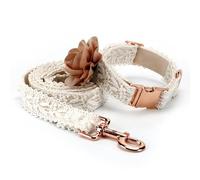 IUOUTG Ensemble Collier et Laisse pour Chien en Dentelle, Collier pour Chien brodé Classique avec Fleur, Collier personnalisé pour Chiens de Petite, Moyenne et Grande Taille