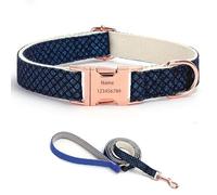 IUOUTG Ensemble Collier et Laisse pour Chien Fille avec Boucle en métal gravée, Collier pour Animal de Compagnie personnalisé avec Noms et numéro de téléphone, réglable, pour Petits à Grands Chiens