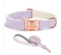IUOUTG Ensemble Collier et Laisse pour Chien Fille avec Boucle en métal gravée, Collier pour Animal de Compagnie personnalisé avec Noms et numéro de téléphone, réglable, pour Petits à Grands Chiens