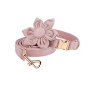 IUOUTG Ensemble Collier et Laisse pour Chien Fille avec Collier pour Chien en Velours Fleuri Collier pour Chiot de Mariage avec réglable pour Chiens Femelles de Petite, Moyenne et Grande Taille
