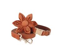 IUOUTG Ensembles de Collier et de Laisse pour Chien, avec nœud Papillon, Doux, pour Fille, avec Fleur, Mignon, pour garçons et Filles, pour Animaux de Compagnie, pour Petits, Moyens et Grands Chiens