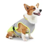 IUOUTG Gilet rafraîchissant pour Petits Chiens, Veste rafraîchissante Douce pour Chien, Harnais d'été rafraîchissant pour Chiot mâle, Chemise rafraîchissante pour randonnée et Marche