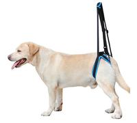 IUOUTG Grand Levage de Jambe arrière avec Support Portable pour Animaux de Compagnie Harnais arrière pour Chiens Harnais arrière pour Chiens Mobile avec Animaux de Compagnie Vieux Chien