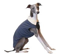 IUOUTG Greyhound Été Refroidissement T-Shirt, Pet Respirant sans Manches Polo Shirt, Whippet Chien Froid Gilet Solide pour Le Temps Chaud Marche Randonnée