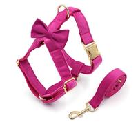 IUOUTG Harnais anti-traction pour chien avec laisse et anneau en D sur le devant qui aide à arrêter de tirer, gilet réglable pour petit chien, taille M
