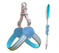 IUOUTG Harnais pour Chien avec Laisse Ensemble Doux réglable sans étranglement Harnais pour Animaux de Compagnie avec Boucle à dégagement
