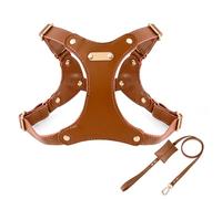 IUOUTG Harnais pour Chien en Cuir Et Ensemble en Cuir avec Boucle Métallique Réglable, Matériau Souple Et Imperméable, Idéal pour Les Chiens De Taille Moyenne Marchant Facilement