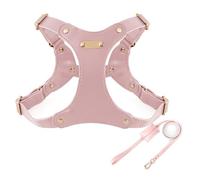 IUOUTG Harnais pour Chien en Cuir Et Ensemble en Cuir avec Boucle Métallique Réglable, Matériau Souple Et Imperméable, Idéal pour Les Chiens De Taille Moyenne Marchant Facilement