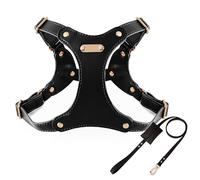 IUOUTG Harnais pour Chien en Cuir Et Ensemble en Cuir avec Boucle Métallique Réglable, Matériau Souple Et Imperméable, Idéal pour Les Chiens De Taille Moyenne Marchant Facilement