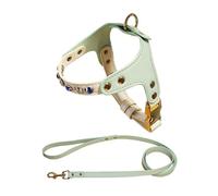 IUOUTG Harnais pour Chien Marche Facile sans Tirer avec Laisse en Cuir avec Boucle à dégagement Rapide pour Chiots et Chats