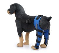 IUOUTG Support De Support De Jambe Arrière De Chien, Support De Genou Réfléchissant De Chien pour Les Blessures De L'ACL avec Charnière, Empêcher La Lèche Manche De Protection De Récupération
