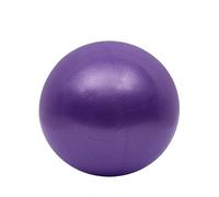 IUVYTA Ballon Exercice 25cm Mini Balle de Yoga Fitness Pilates réduire la Graisse épaisse Anti-déflagrant antidérapant Gymnastique entraînement à Domicile d'exercice(Purple)