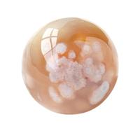 IUYIXWFP Boule de Cristal de Quartz Naturel, sphère de Cristal pour la décoration de la Maison et du Bureau, Boules de méditation de sphère de Cristal de guérison 3,8-4,2 cm,V