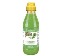 Iv San Bernard 020506 Fruits Shampooing Menta 500 ml