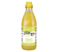 Iv San Bernard 020513 Fruits Shampooing Maracuja 1000 ML