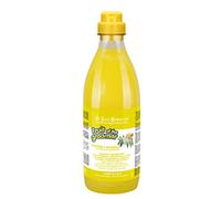Iv San Bernard 020516 Fruits Shampooing Zenzero et Sambuco 1000 ML