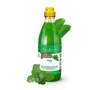 IV San Bernard Fruits Shampooing Menthe 1L - Shampooing pour chiens : Rafraîchissant Menthe et Vitamine B6, Déodorant et revitalisant, fourrure douce et soyeuse. Prenez soin de votre animal de co