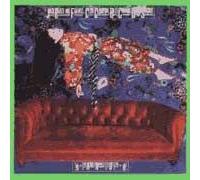 I've Always Wanted To..