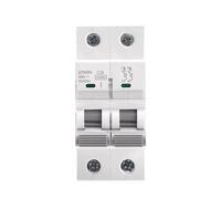 IVEKYKIBC Disjoncteur H 10KA 2P 6A 10A 16A 20A 25A 32A 40A 50A 63A 220V 1 pièce(50A)