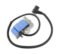 IVOOJA Bobine d'allumage Compatible avec le souffleur Echo PB-601 PB-602 PB-603 PB-60HT PB-610 PB-620 15660108361,15660109860,15660108260