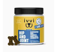 ivvi - Hip and Joint - Articulations, Anti-Arthrose - Complément Alimentaire pour Chien, Hautement Concentré - MSM, Moule à Lèvres Vertes, Glucosamine - 60 Friandises au Poulet, 270g