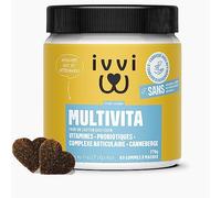ivvi Multivitamines - Complément Alimentaire pour Chien - Soins Complets pour Une Vie de Chien Heureuse - 60 Délicieuses Friandises au Poulet (270g)