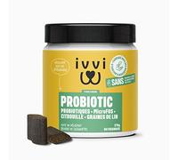 ivvi Probiotic pour Chien - Complément Alimentaire pour Bien-Etre Digestif - Probiotiques, Citrouille, Avoine, Graines de Lin et de Courge - 60 Délicieuses Friandises Végétariennes, 270g