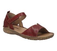 Ivy 05 rot 38