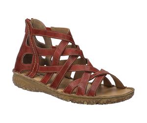 Ivy 06 rot 44