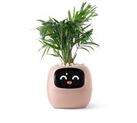 Ivy AI Pot de fleurs intelligent pour décoration de la maison, compagnon, installation de bureau soignée, cadeau pour animal de compagnie, robot, conseils pour l'entretien des plantes avec(Saumon)